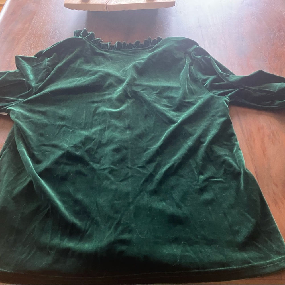 Green Casual Womens Notched Neckline Velvet Tee - Picture 5 of 5